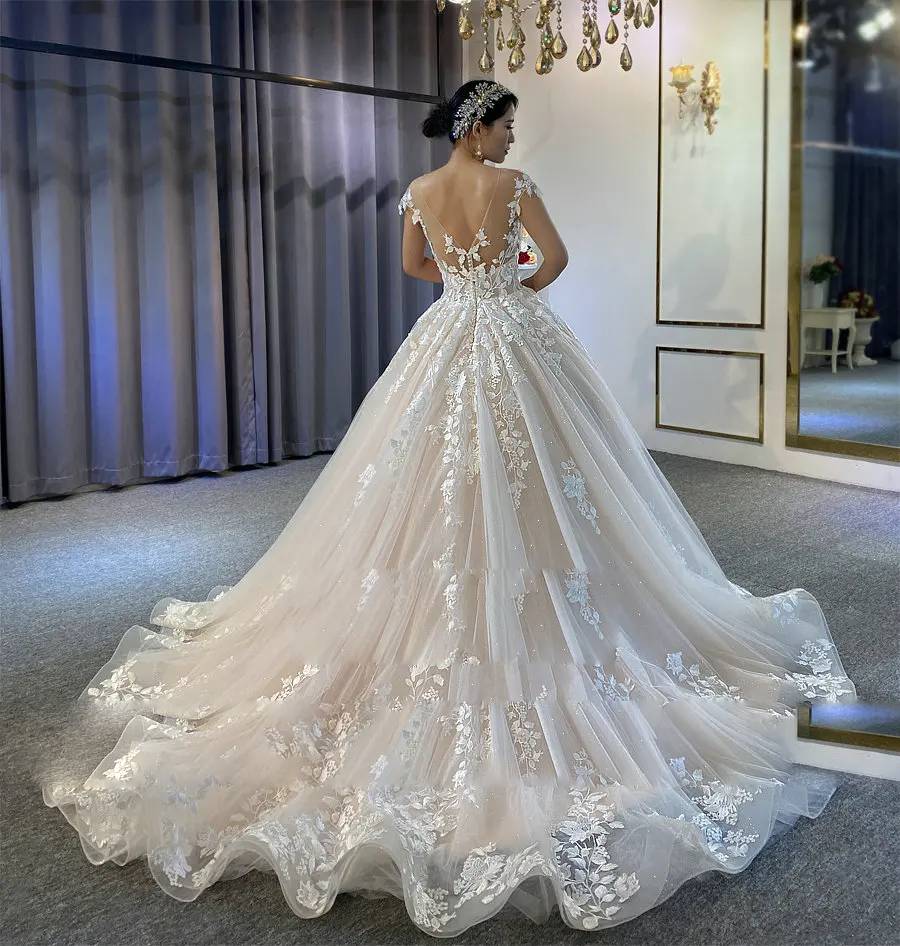 Full back view of a champagne-toned A-line bridal gown showing the elegant flow of the glitter-infused tulle skirt and detailed lace train.