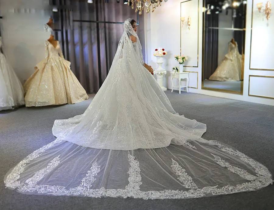 Back view of an elegant bridal gown showcasing a dramatic cathedral-length lace train and a matching long wedding veil.